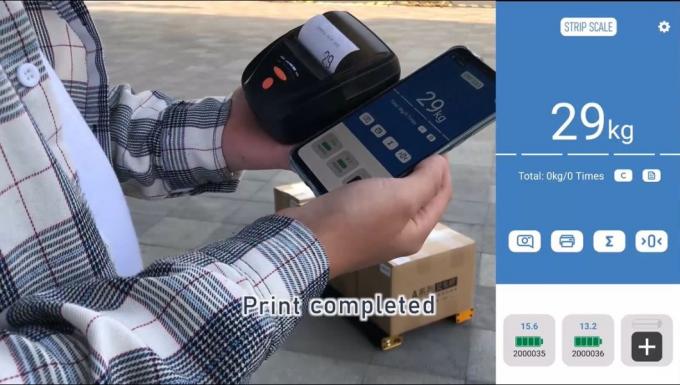 ইলেকট্রনিক পোর্টেবল প্যালেট বিম স্কেল 4500kg APP নিয়ন্ত্রণ শিল্প 10